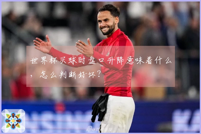 世界杯买球时盘口升降意味着什么，怎么判断好坏？