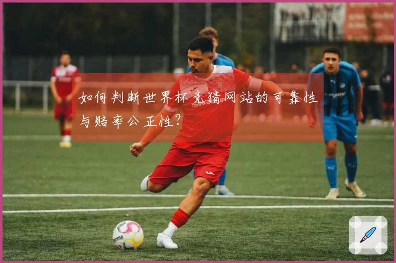 如何判断世界杯竞猜网站的可靠性与赔率公正性？