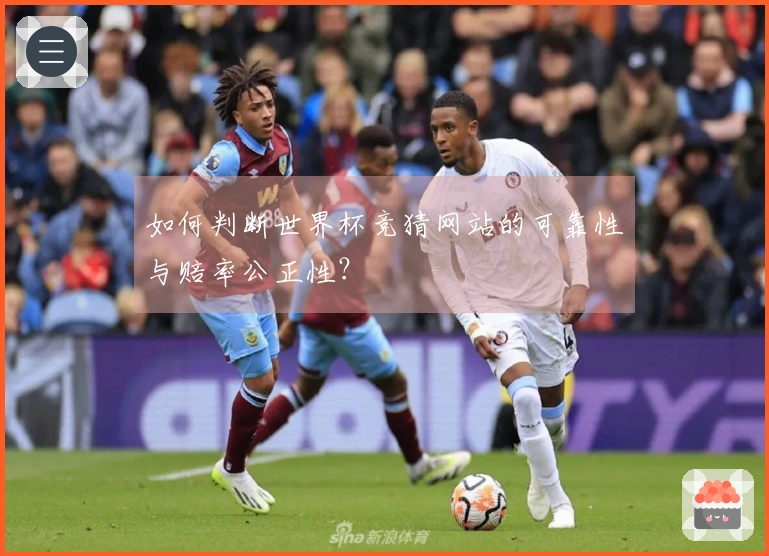 如何判断世界杯竞猜网站的可靠性与赔率公正性？