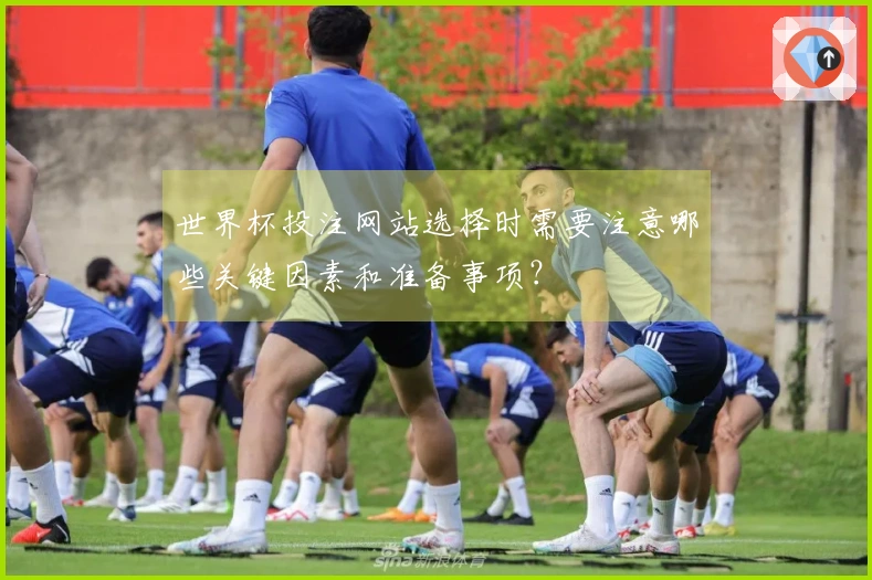 世界杯投注网站选择时需要注意哪些关键因素和准备事项？