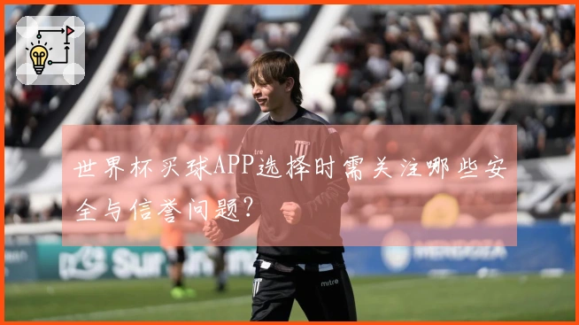 世界杯买球APP选择时需关注哪些安全与信誉问题？