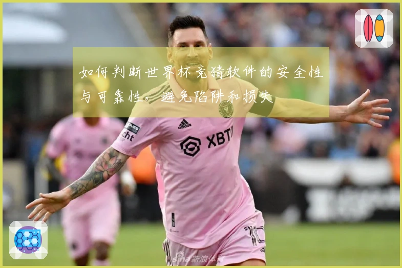 如何判断世界杯竞猜软件的安全性与可靠性，避免陷阱和损失