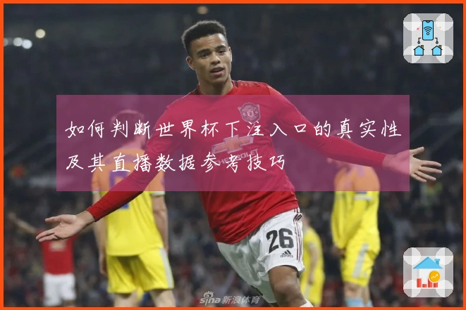 如何判断世界杯下注入口的真实性及其直播数据参考技巧