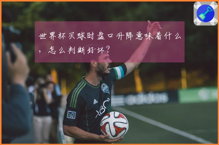 世界杯买球时盘口升降意味着什么，怎么判断好坏？