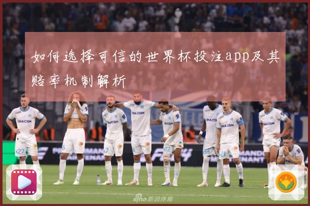 如何选择可信的世界杯投注app及其赔率机制解析