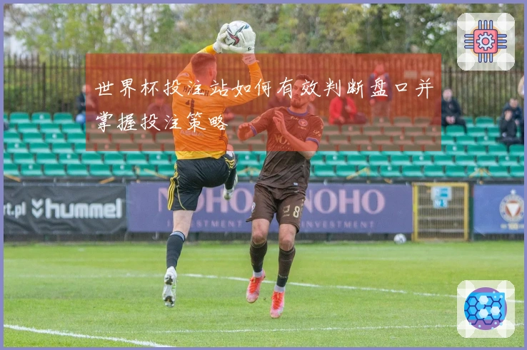 世界杯投注站如何有效判断盘口并掌握投注策略